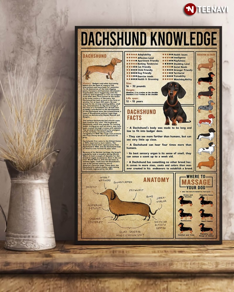 Dachshund Dog Lover Poster, Dachshund Knowledge