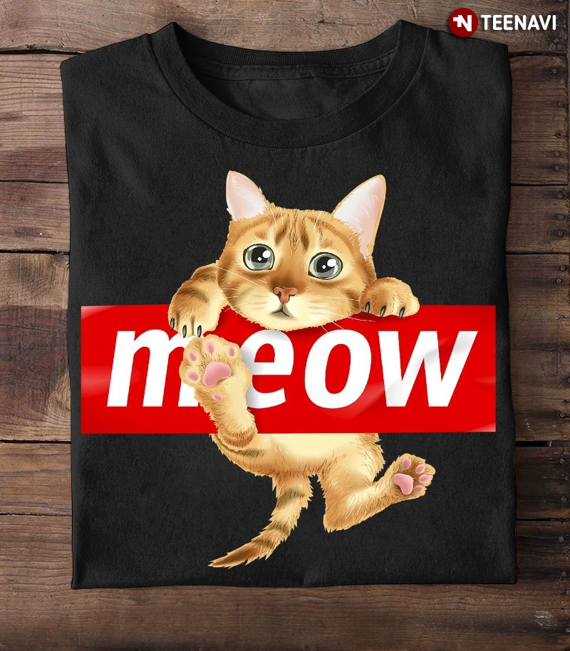 Cute Cat Lover Shirt, Meow