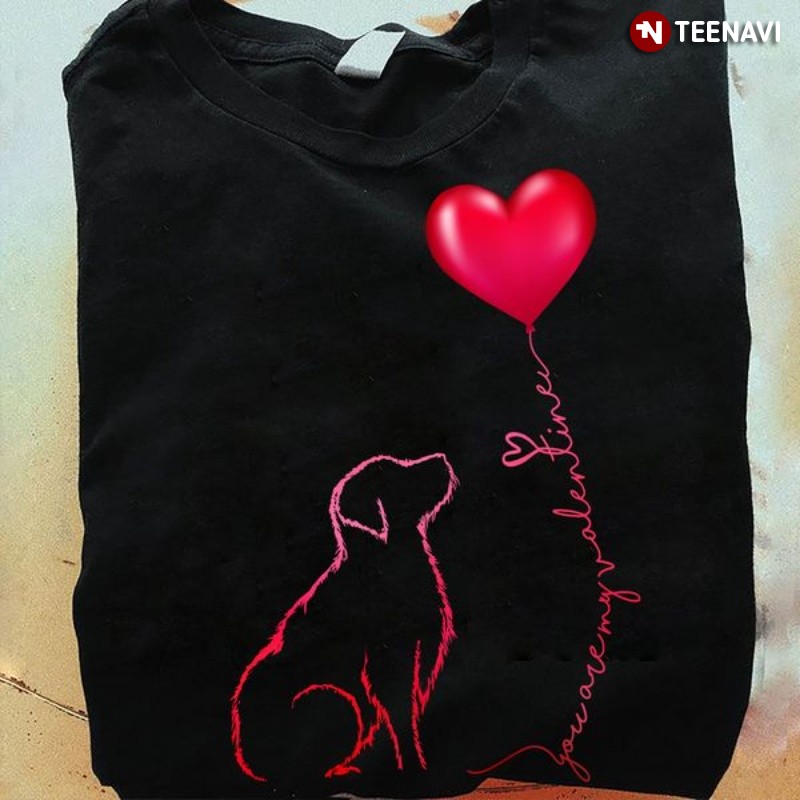 Valentine Dog Lover Shirt, You Are My Valentine