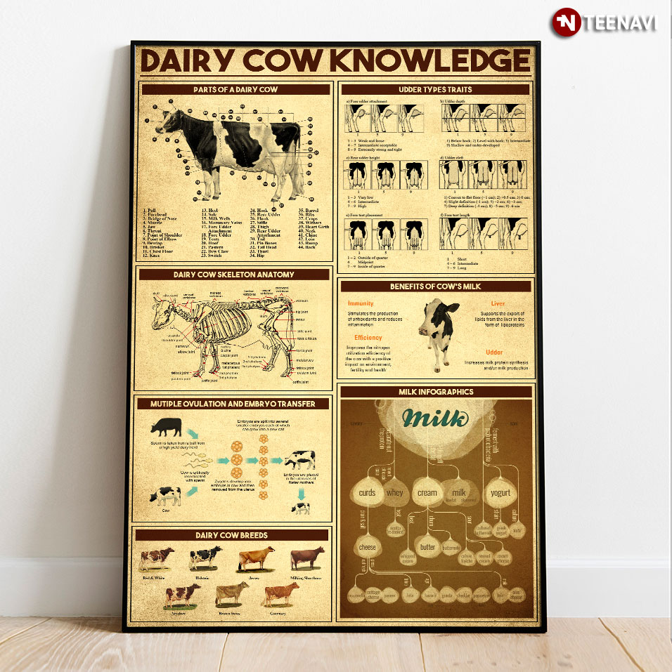 Dairy Cow Knowledge