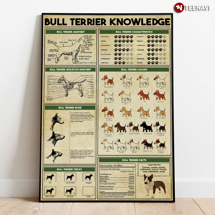 Bull Terrier Knowledge