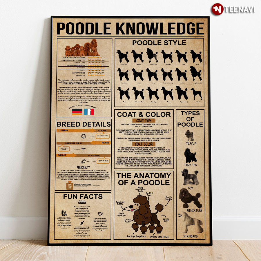 Poodle Knowledge