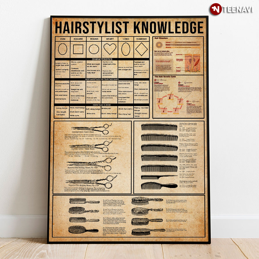 Hairstylist Knowledge For Hairdresser Community