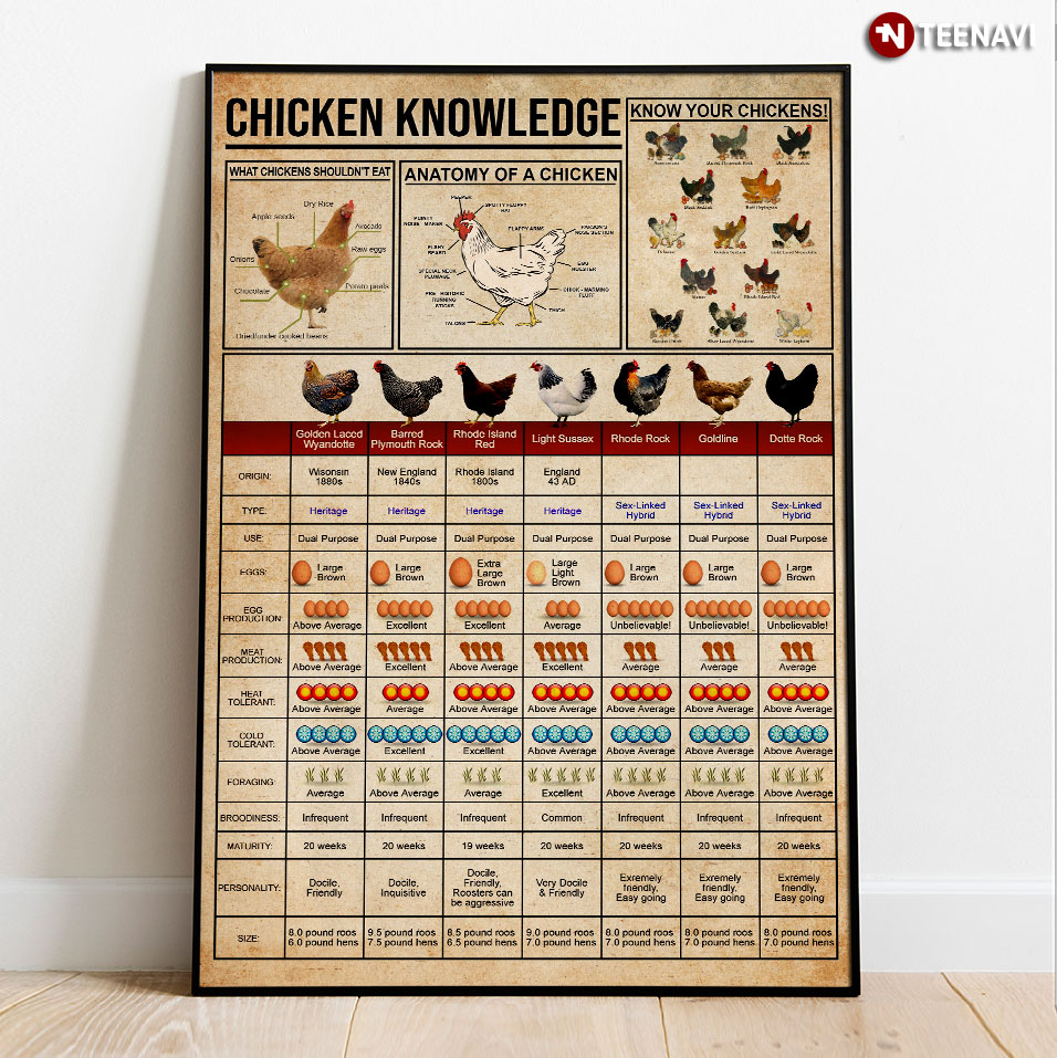 Detailed Chicken Knowledge