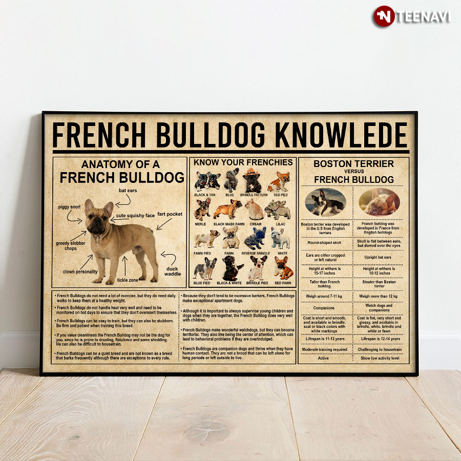 French Bulldog Knowledge