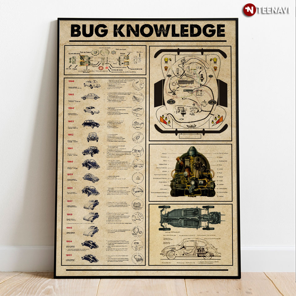 Detailed Bug Knowledge