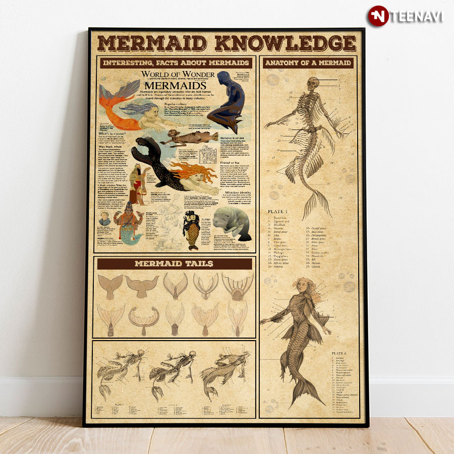 Mermaid Knowledge