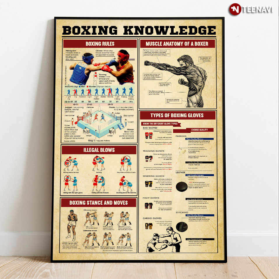 Boxing Knowledge