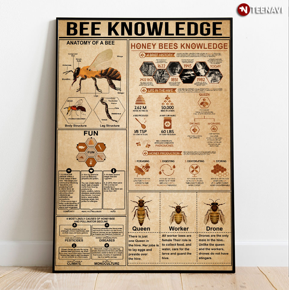 New Version Bee Knowledge