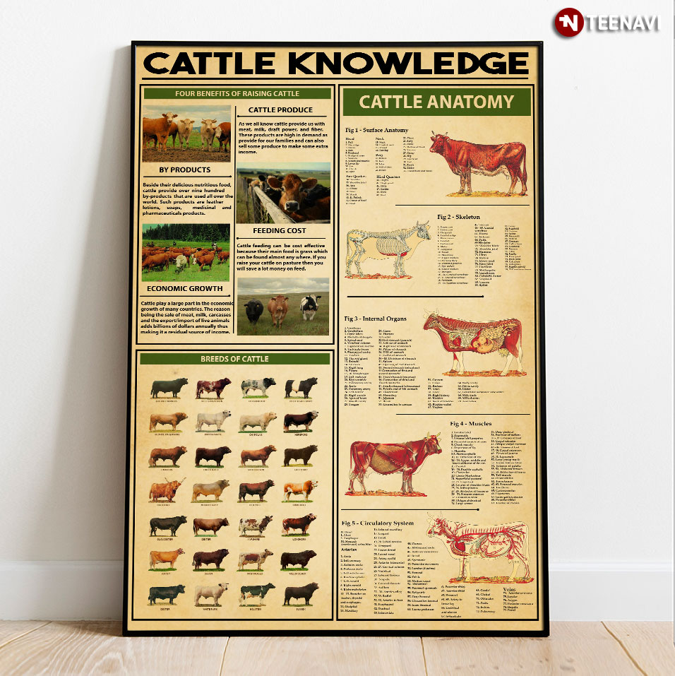 Cattle Knowledge