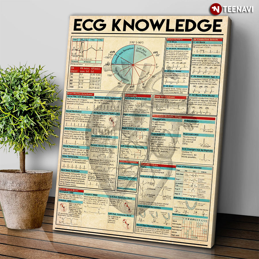 Ecg Knowledge Human Heart Anatomy