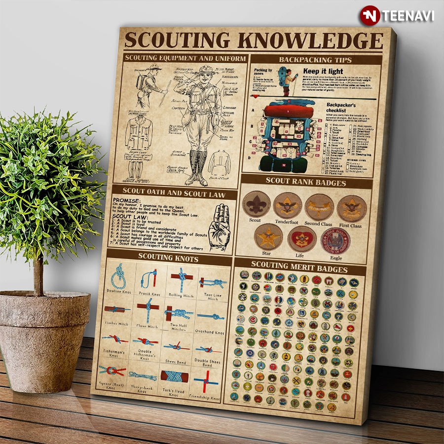 scouting knowledge poster