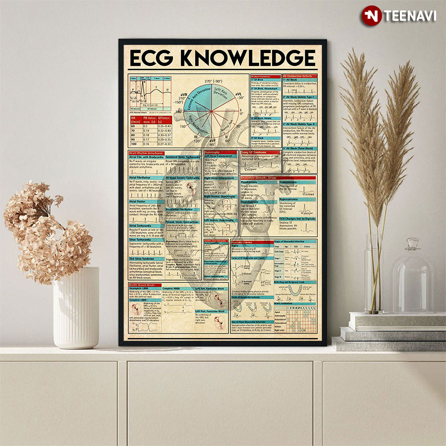 Ecg Knowledge Human Heart Anatomy