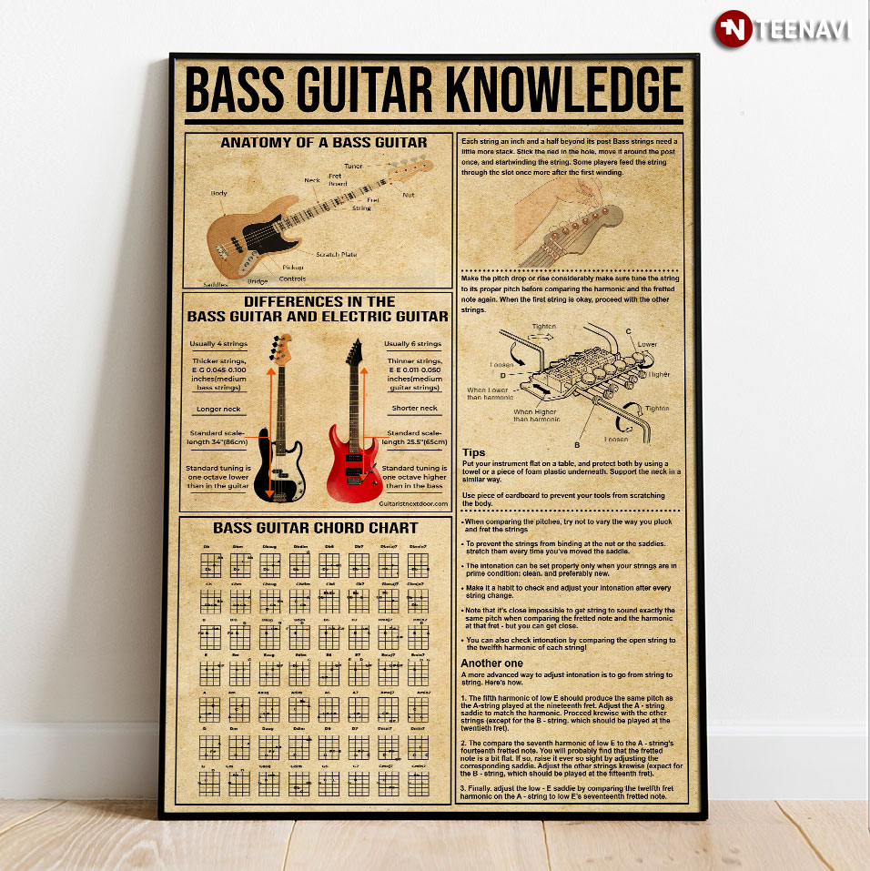 Bass Guitar Knowledge