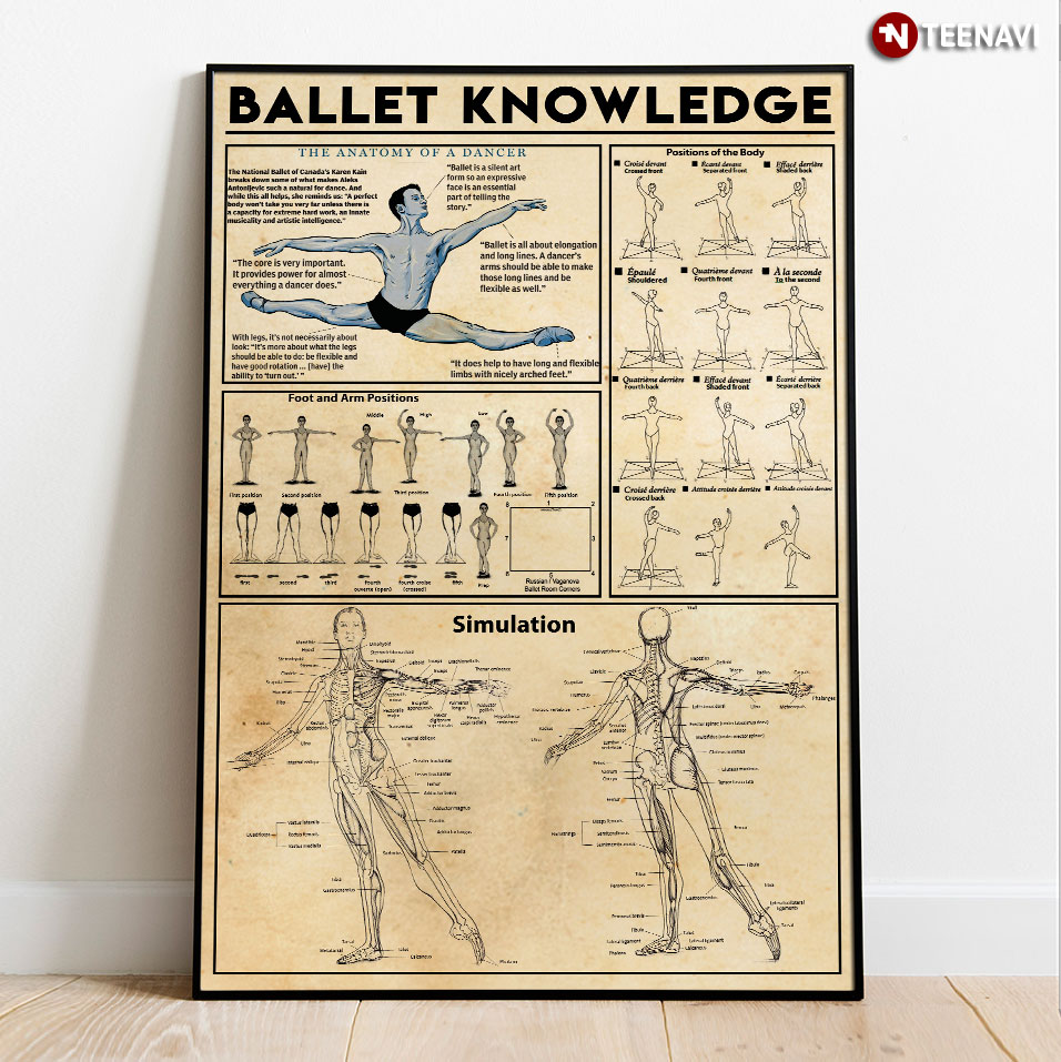 Ballet Knowledge The Anatomy Of A Dancer Foot & Arm Positions Positions Of The Body Simulation