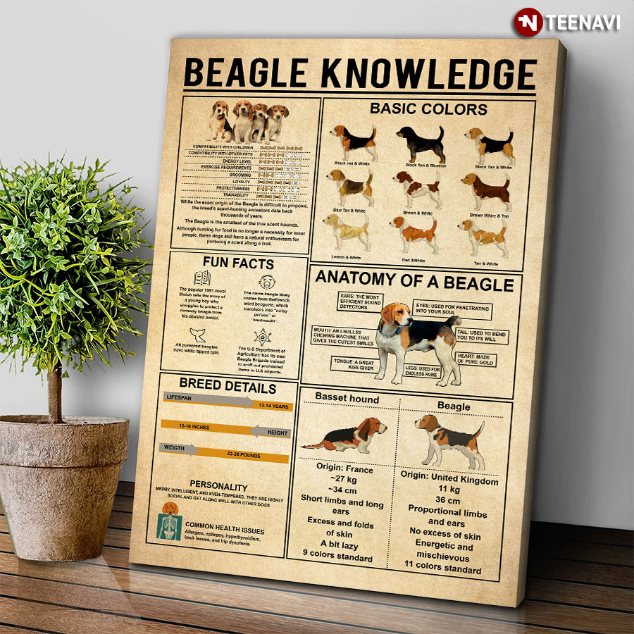 Beagle Knowledge