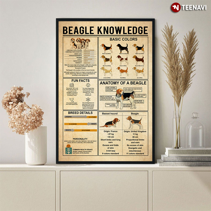 Beagle Knowledge