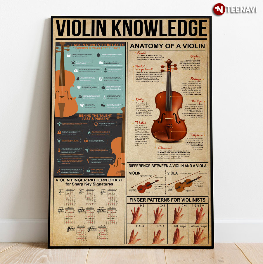 Violin Knowledge Poster