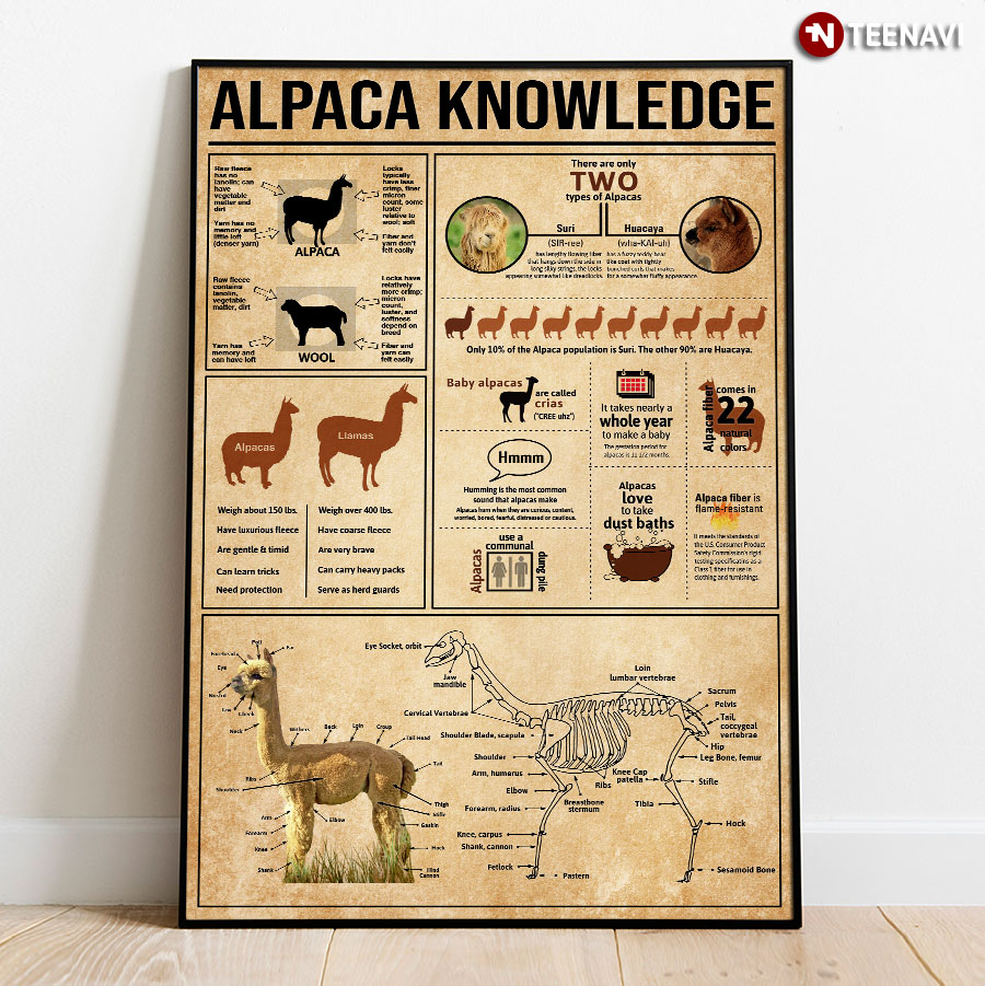 Alpaca Knowledge Poster