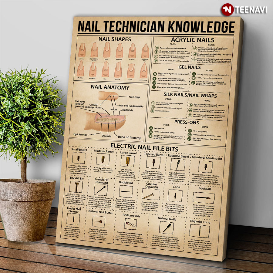 Nail Technician Knowledge