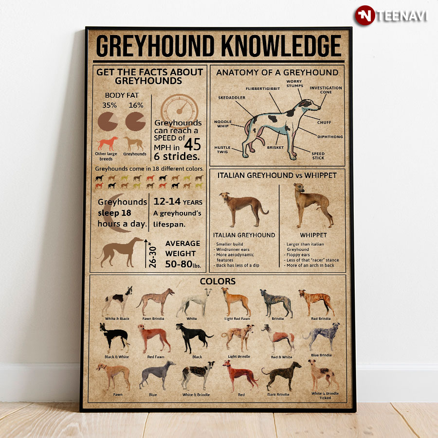 Greyhound Knowledge Poster
