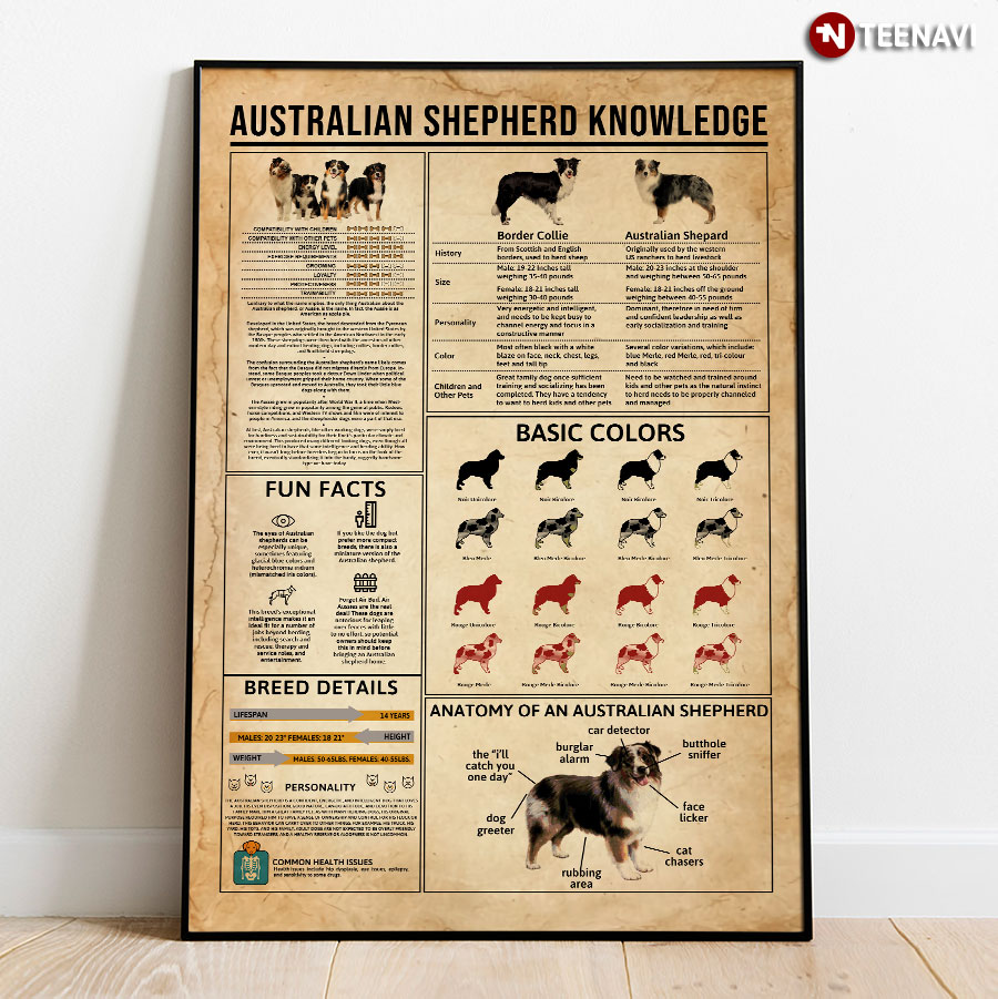 Australian Shepherd Knowledge Poster