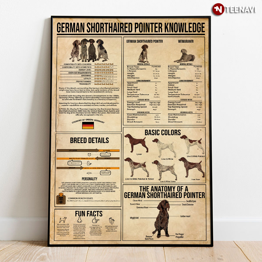 German Shorthaired Pointer Knowledge Poster