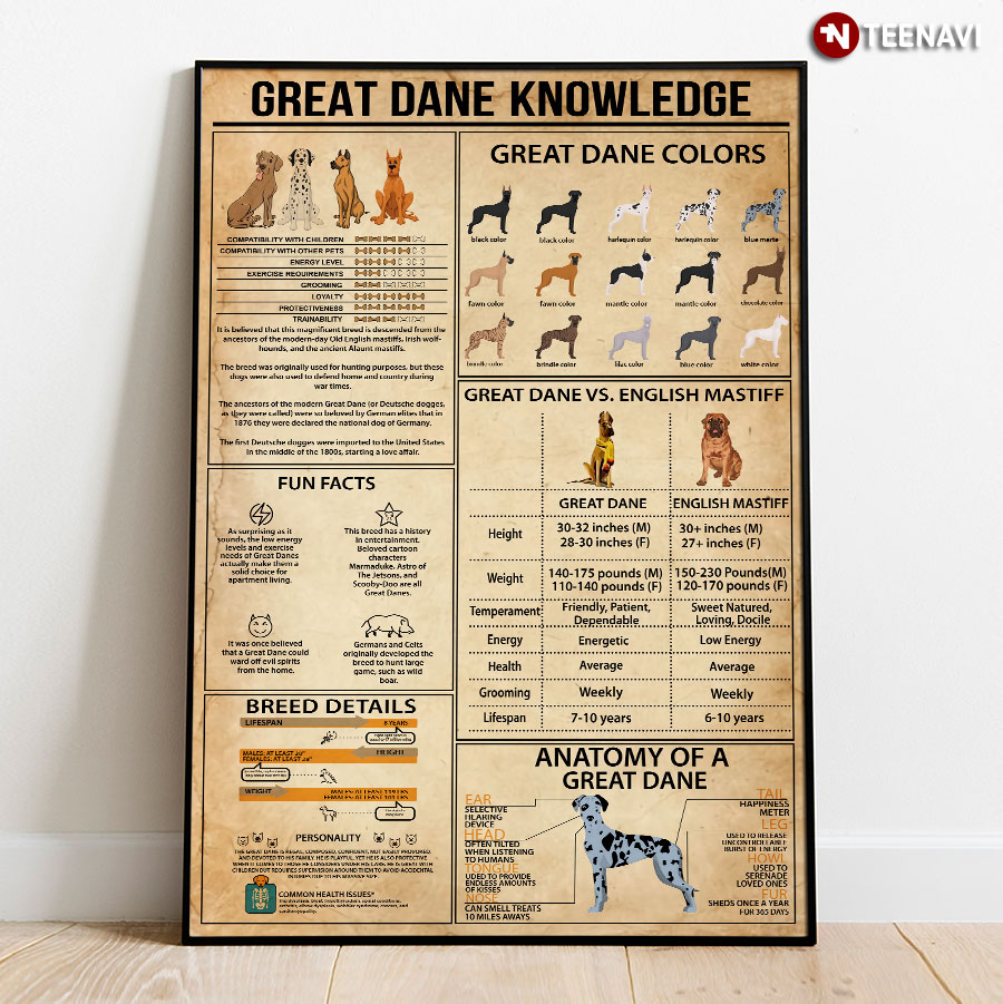 Great Dane Knowledge Poster
