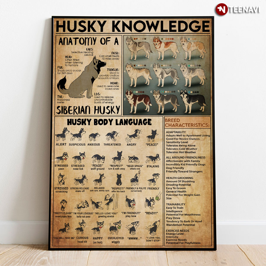 Husky Knowledge Poster