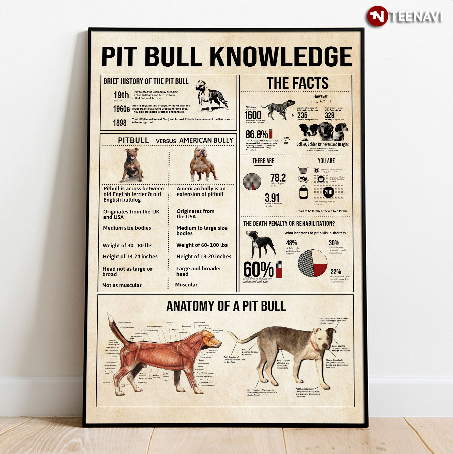 Pitbull Knowledge Poster