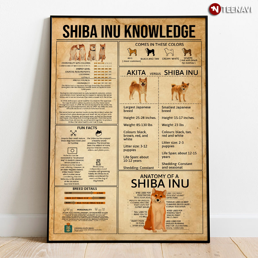 Shiba Inu Knowledge Poster