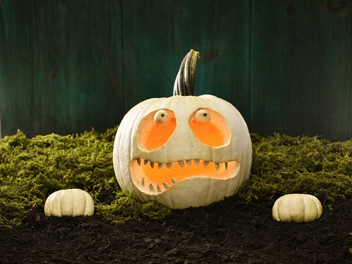 ideas to carve on a Pumpkin