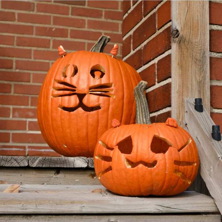 3 Pumpkin carving ideas