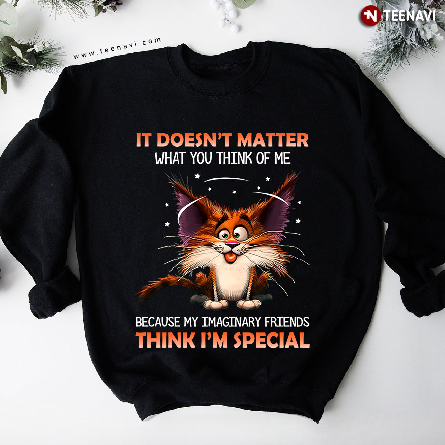 It Doesn't Matter What You Think Of Me Because My Imaginary Friends Crazy Cat Sweatshirt