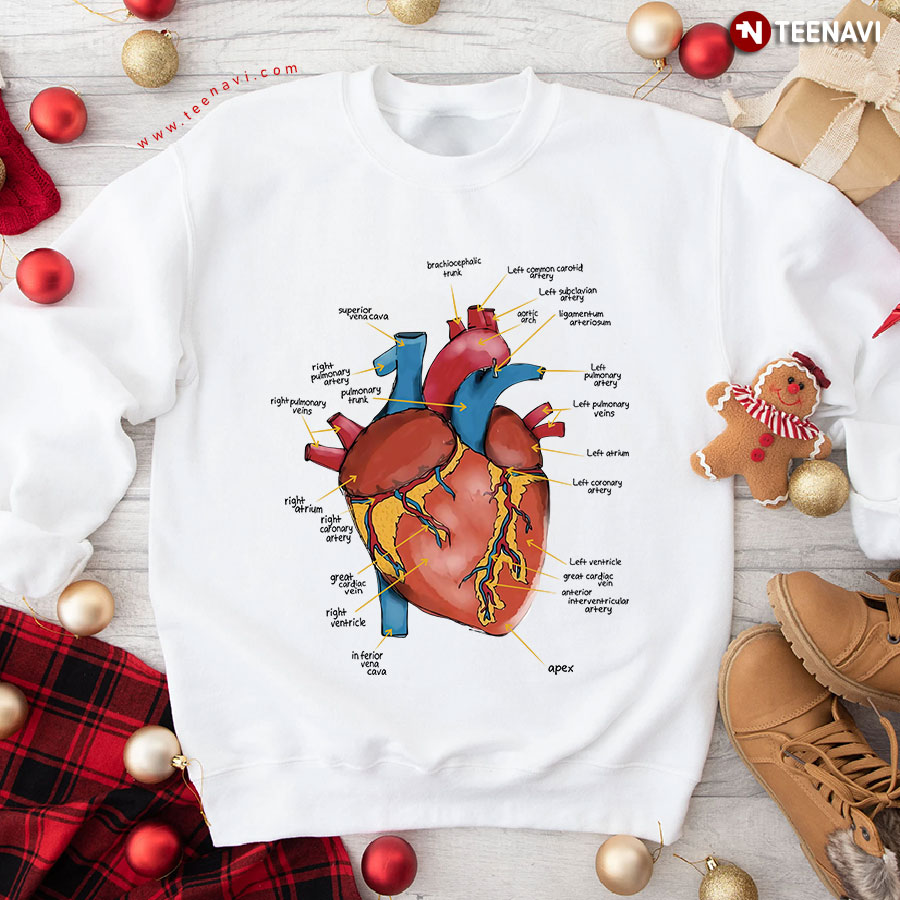 Human Heart Anatomy Of Heart Graphic Sweatshirt