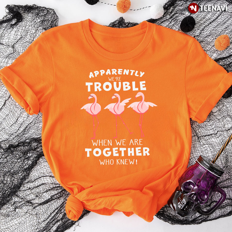 Apparently We're Trouble When We Are Together Who Knew! Flamingo T-Shirt