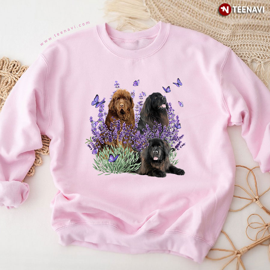 Lovely Newfoundland Dogs With Lavender And Butterflies Sweatshirt