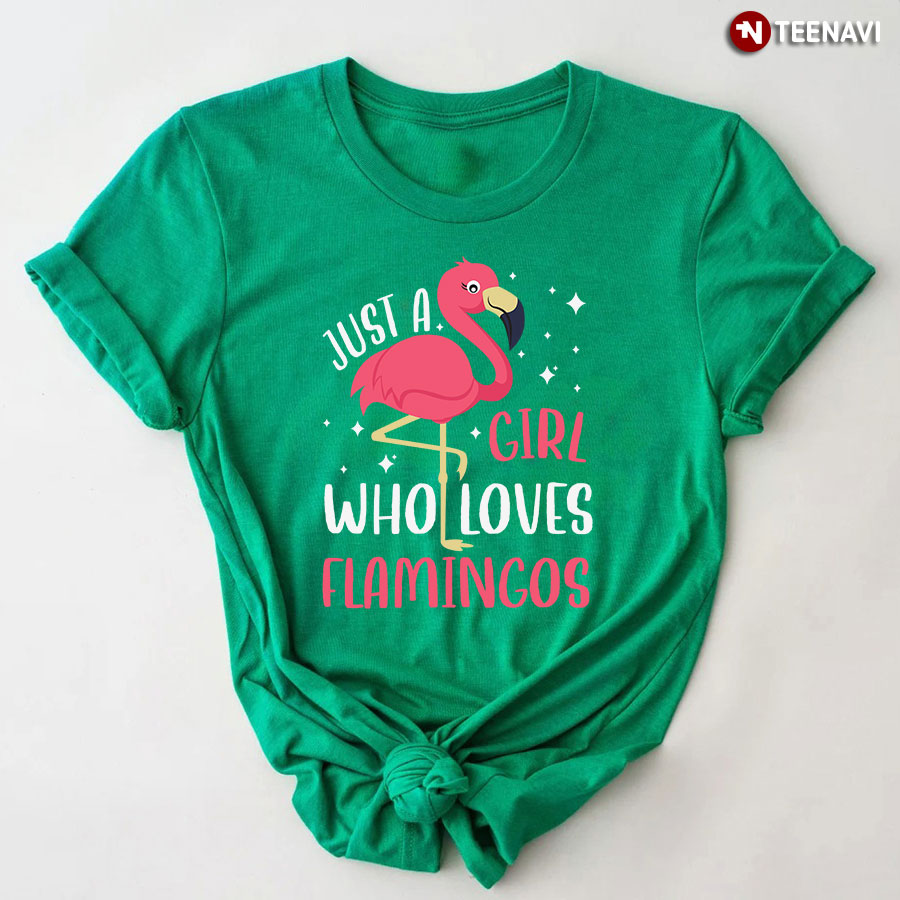 Just A Girl Who Loves Flamingos T-Shirt - Women's Tee