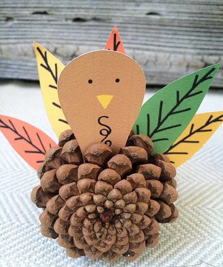 how to make a pinecone Turkey with feathers