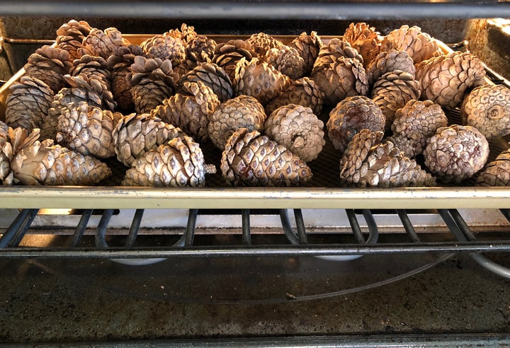 how to make pinecone smell like cinnamon