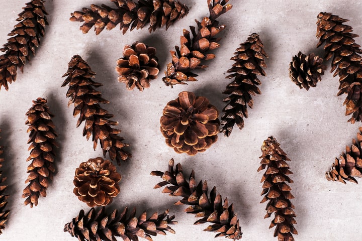 how to make cinnamon pine cones at home