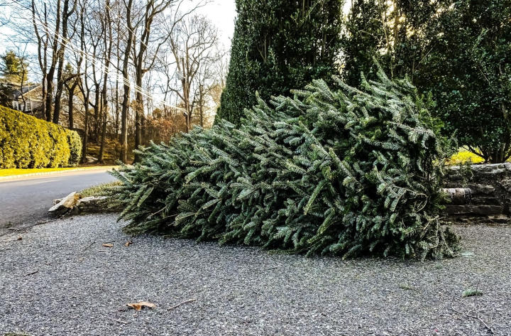 How To Recycle An Artificial Christmas Tree