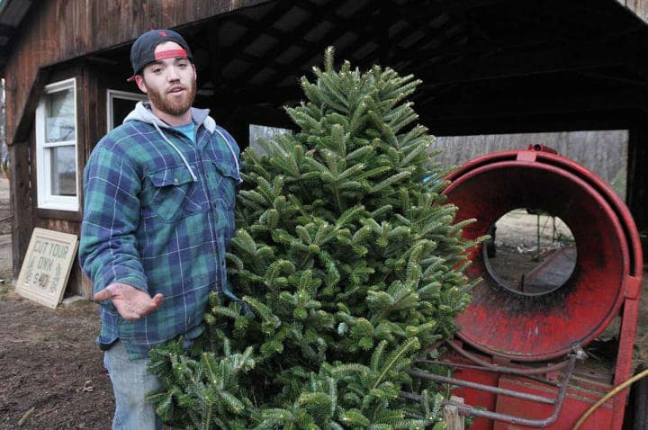 where can i recycle an artificial Christmas tree