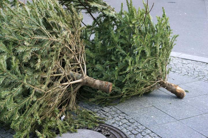 can you recycle artificial Christmas trees