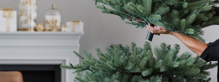 when should you take down your Christmas tree when can you take down your Christmas tree