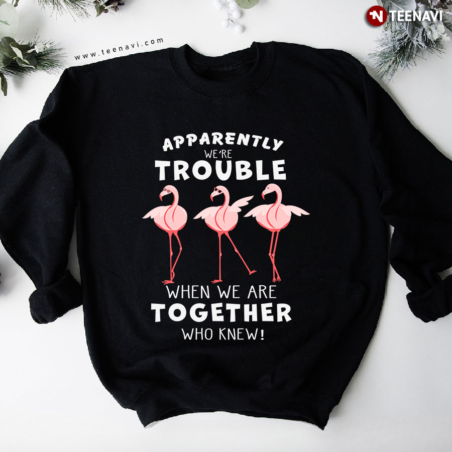 Apparently We're Trouble When We Are Together Who Knew Flamingos Sweatshirt