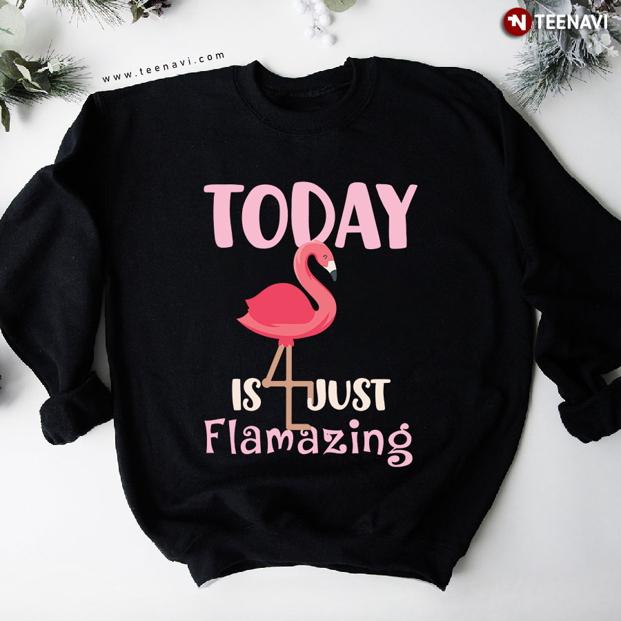 Today Is Just Flamazing Pink Flamingo Animal Lover Sweatshirt