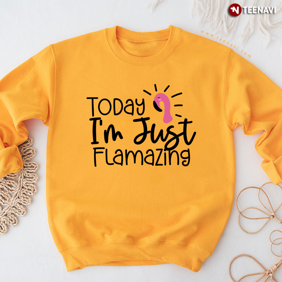 Today I'm Just Flamazing Lovely Flamingo Sweatshirt
