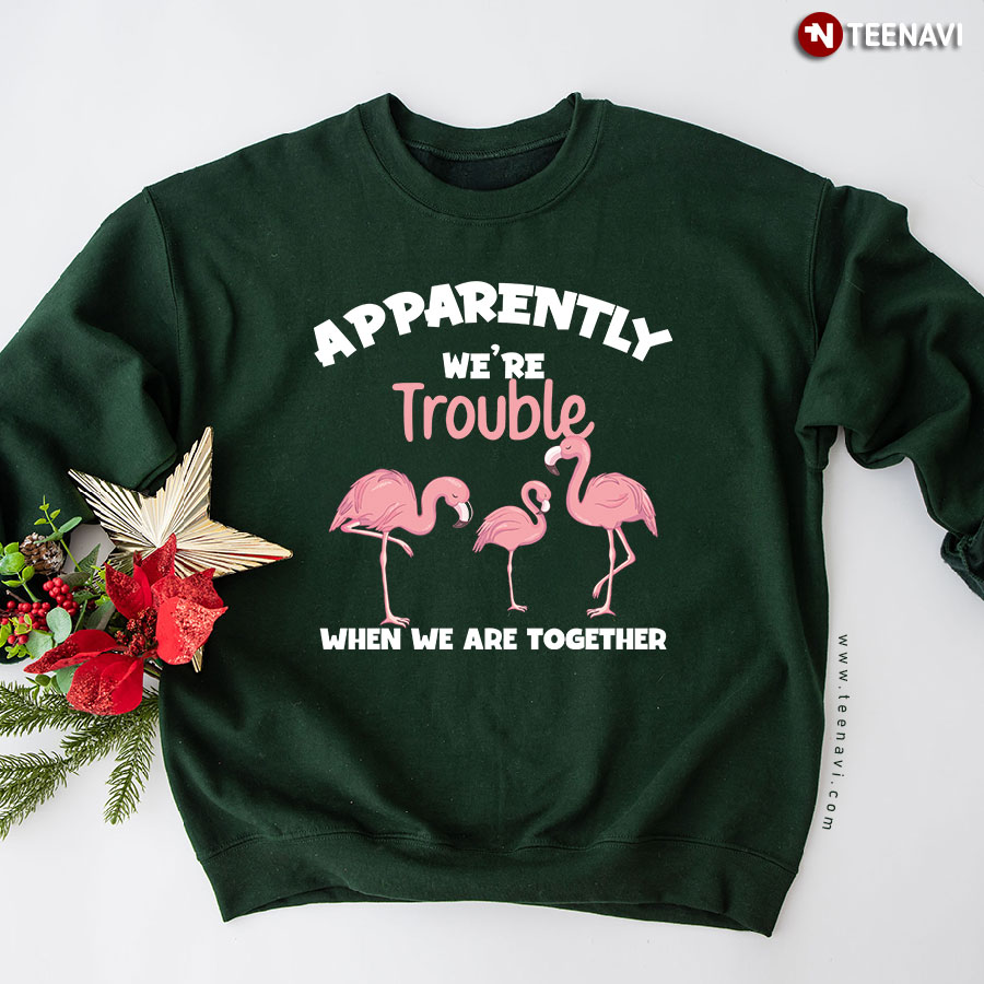 Apparently We're Trouble When We Are Together Funny Flamingos Sweatshirt
