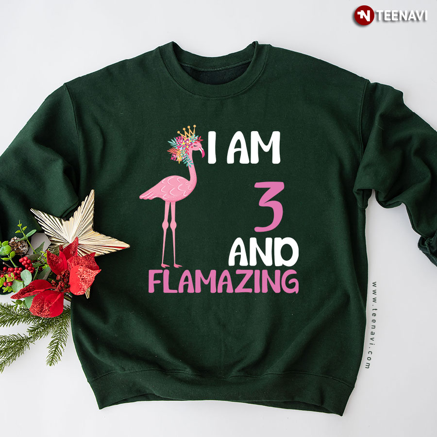 I Am 3 And Flamazing Flamingo 3rd Birthday Sweatshirt